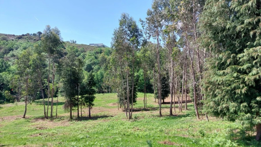 Terreno para Venda em Tabuaças Foto 9