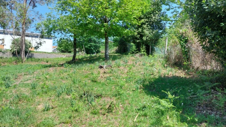 Terreno para Venda em Tabuaças Foto 22