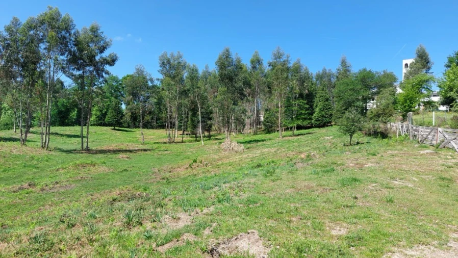Terreno para Venda em Tabuaças Foto 19