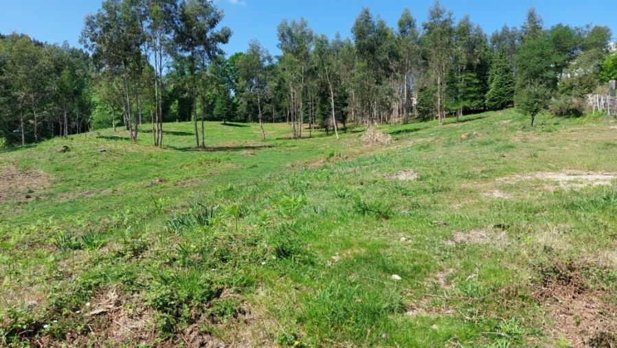 Terreno para Venda em Tabuaças Foto 17