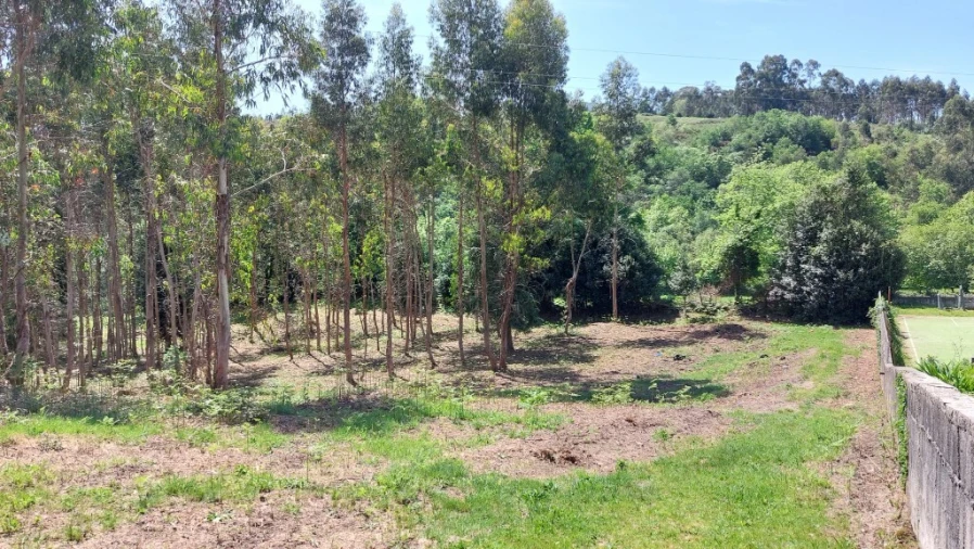 Terreno para Venda em Tabuaças Foto 26