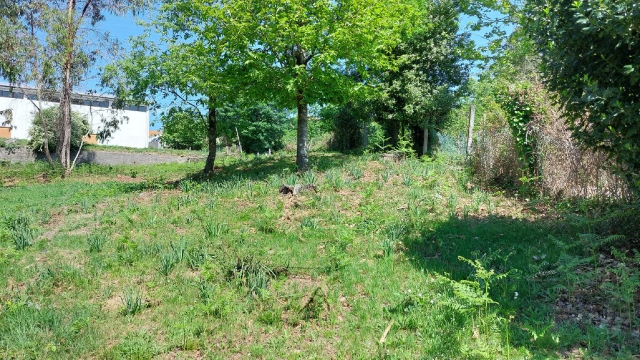 Terreno para Venda em Tabuaças Foto 22