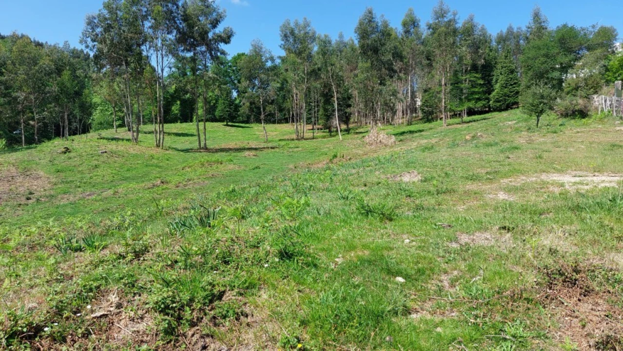 Terreno para Venda em Tabuaças Foto 17