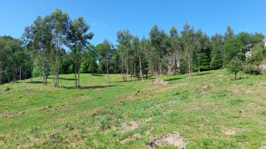 Terreno para Venda em Tabuaças