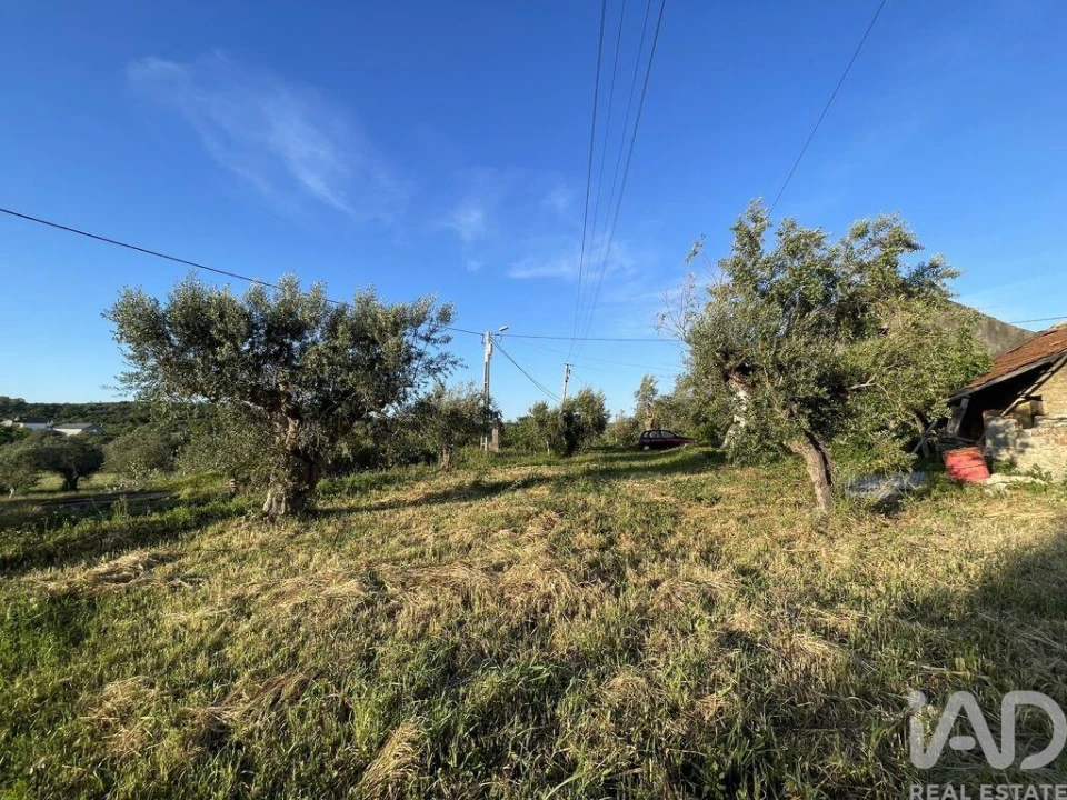 Moradia T2 para Venda em Chãos Foto 11