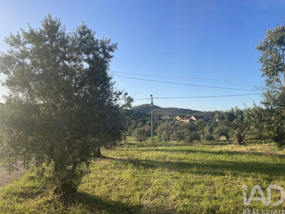 Moradia T2 para Venda em Chãos Foto 14