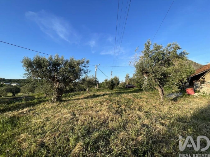 Moradia T2 para Venda em Chãos Foto 11