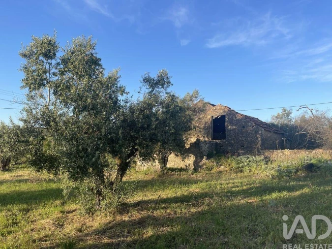 Moradia T2 para Venda em Chãos Foto 13