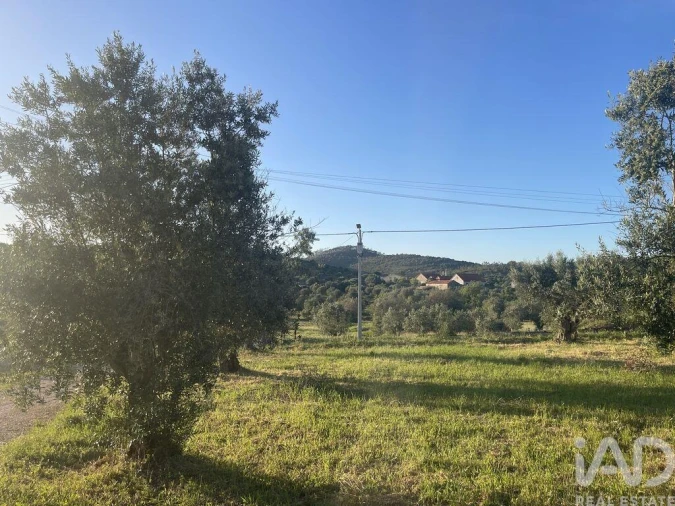 Moradia T2 para Venda em Chãos Foto 14