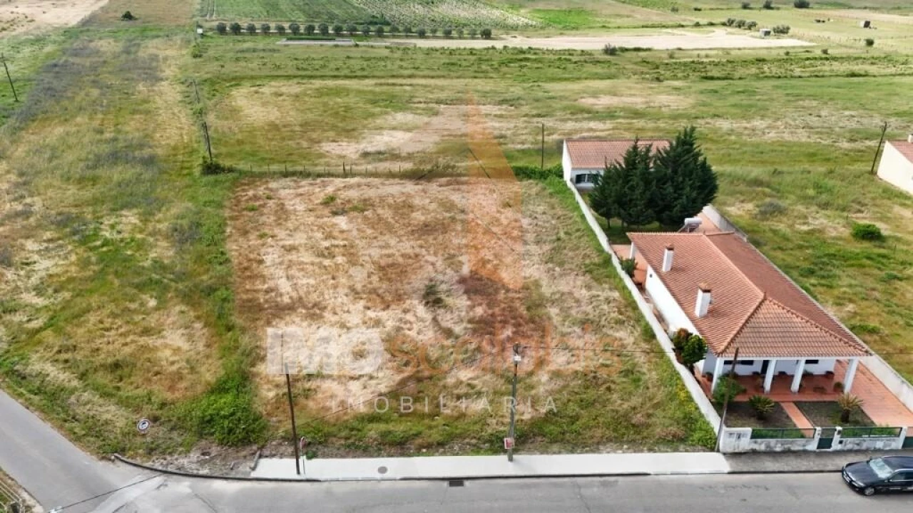 Terreno para Venda em Alpiarça Foto 12