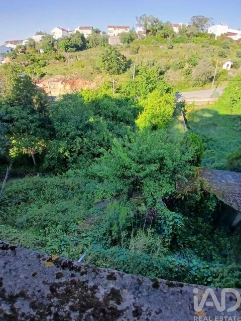 Moradia T3 para Venda em Eiras e São Paulo de Frades