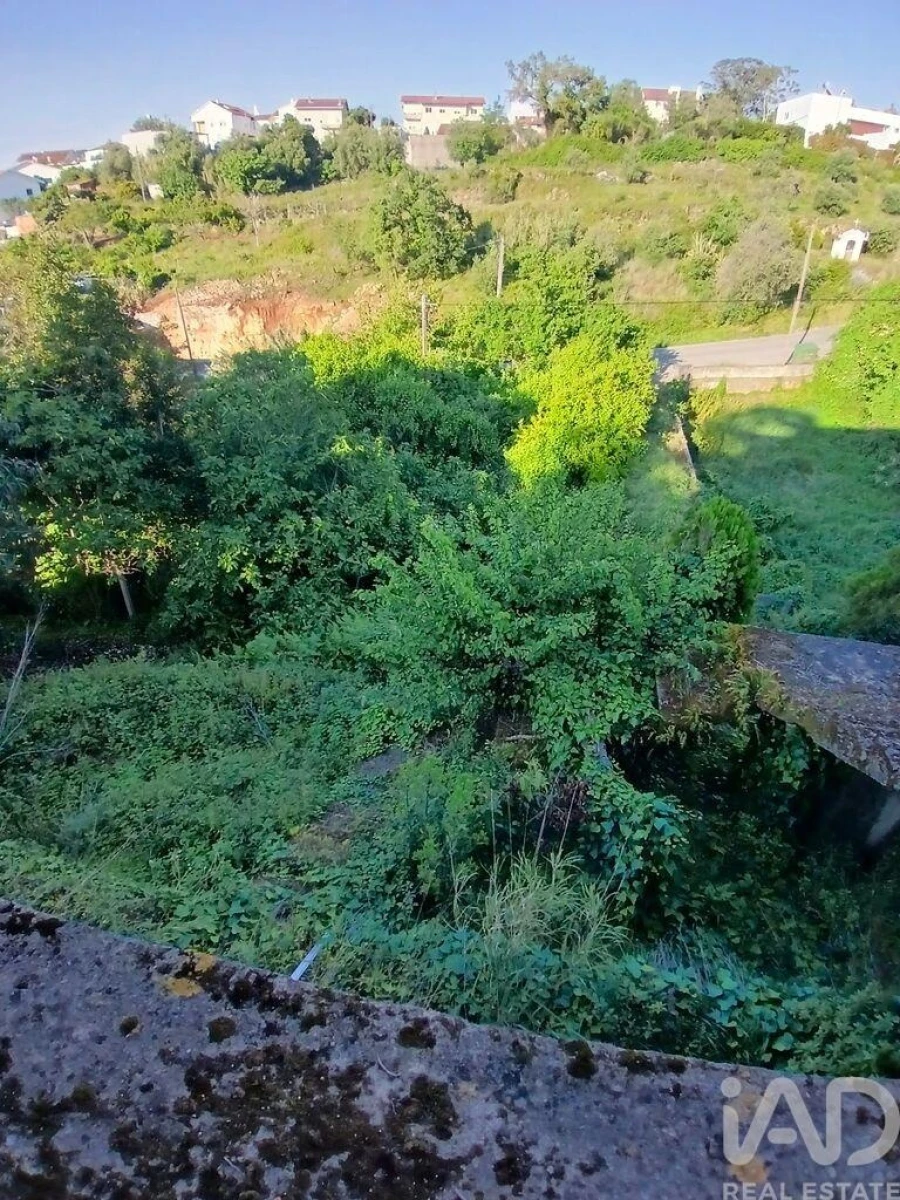 Moradia T3 para Venda em Eiras e São Paulo de Frades Foto 11
