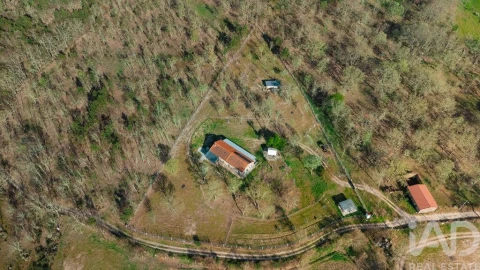 Quinta T2 para Venda em Sabugal e Aldeia de Santo António