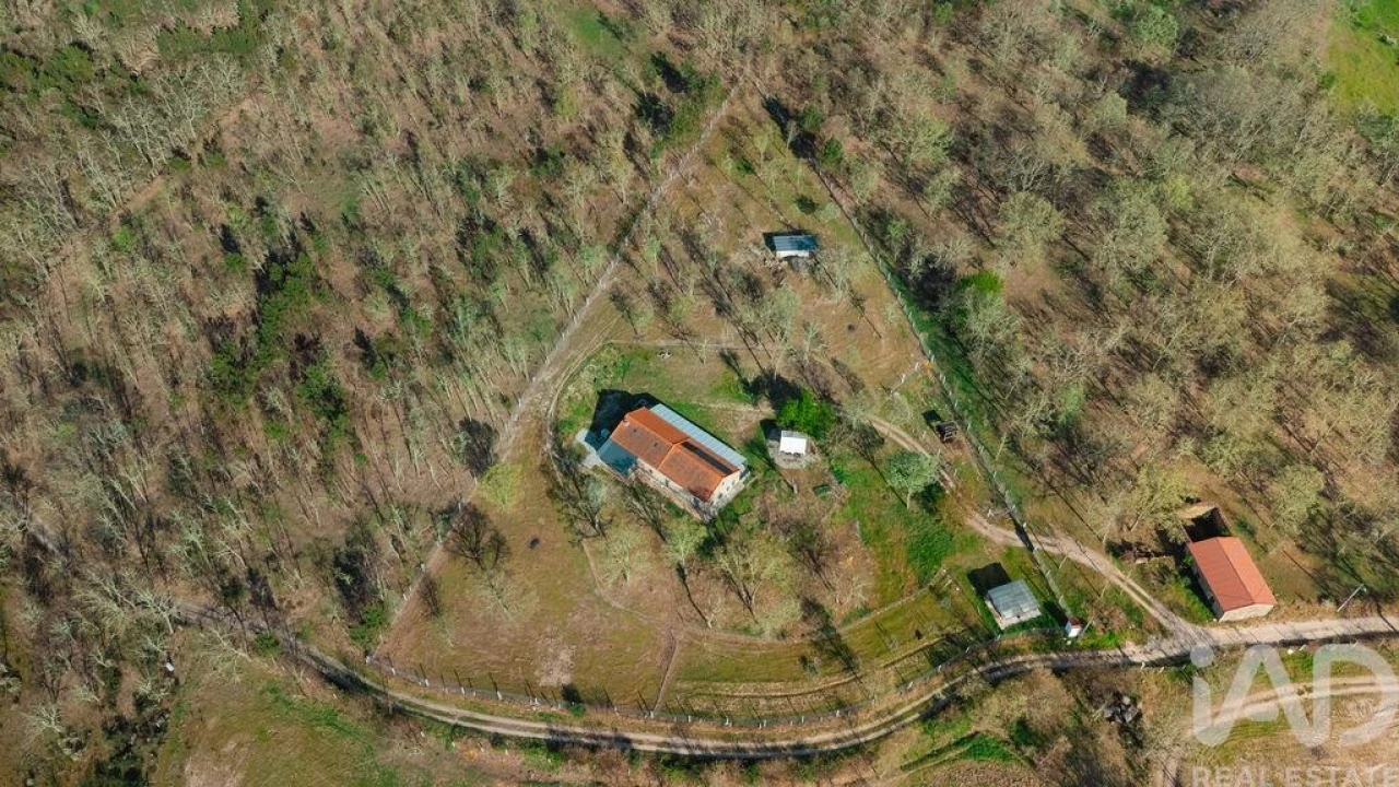 Quinta T2 para Venda em Sabugal e Aldeia de Santo António Foto 8