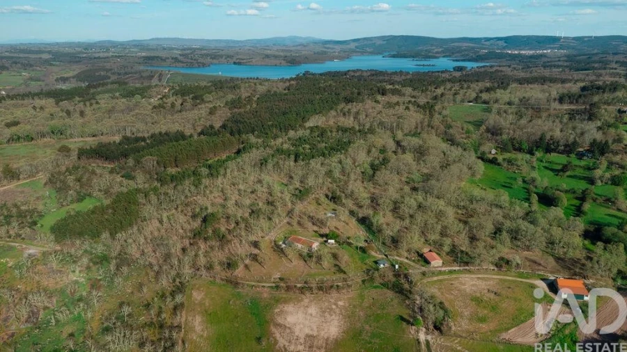 Quinta T2 para Venda em Sabugal e Aldeia de Santo António Foto 10