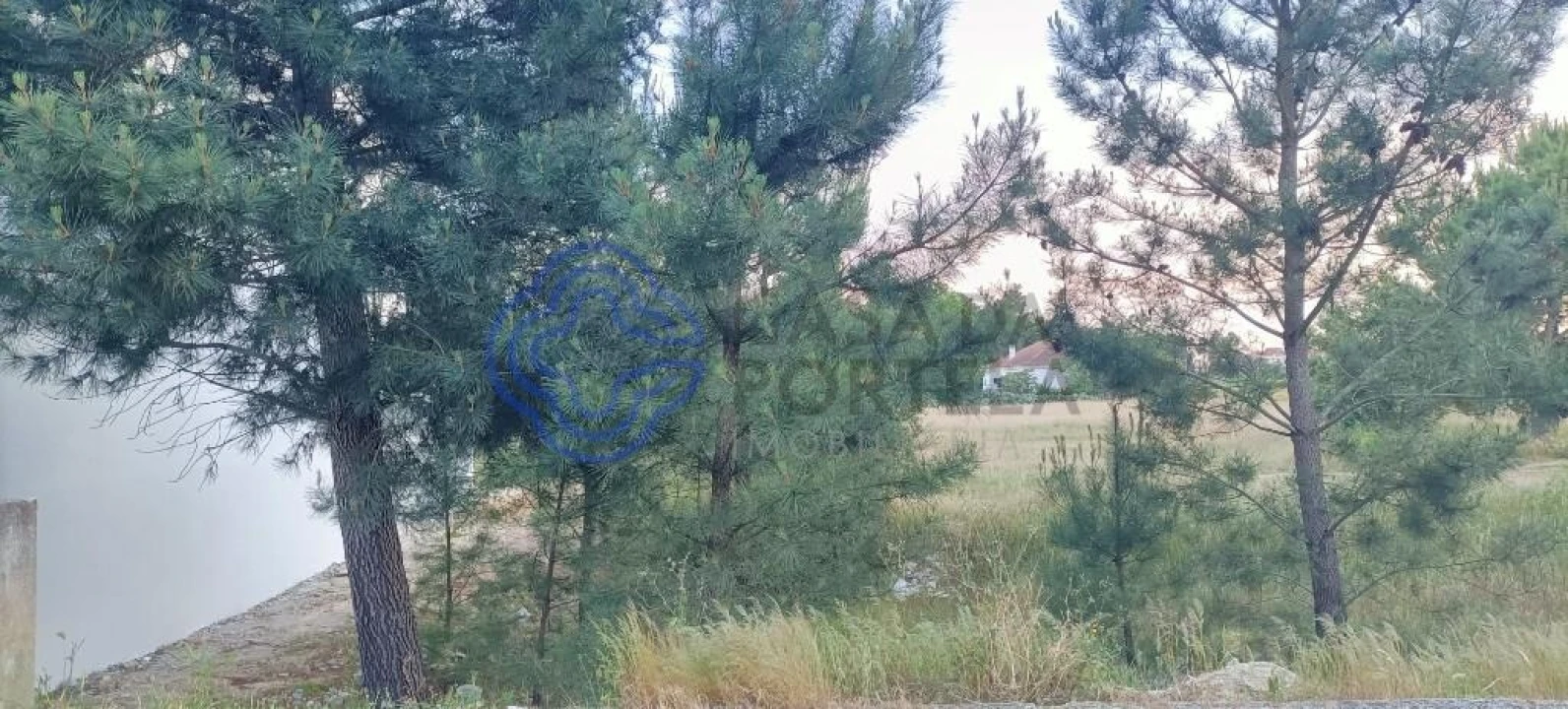Terreno para Venda em Pinhal Novo Foto 2