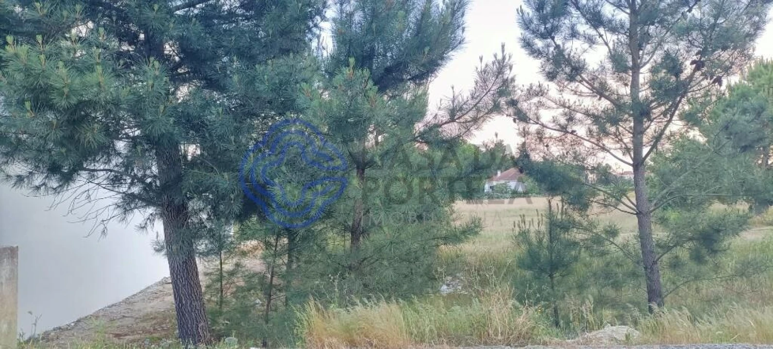 Terreno para Venda em Pinhal Novo Foto 8