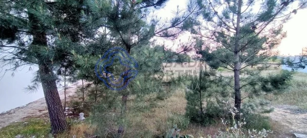 Terreno para Venda em Pinhal Novo