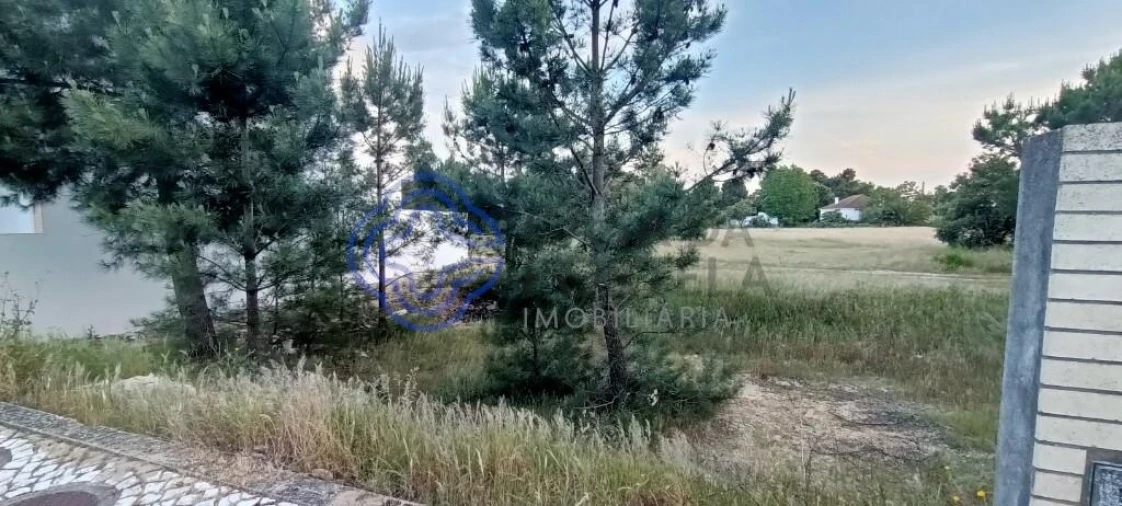 Terreno para Venda em Pinhal Novo Foto 11