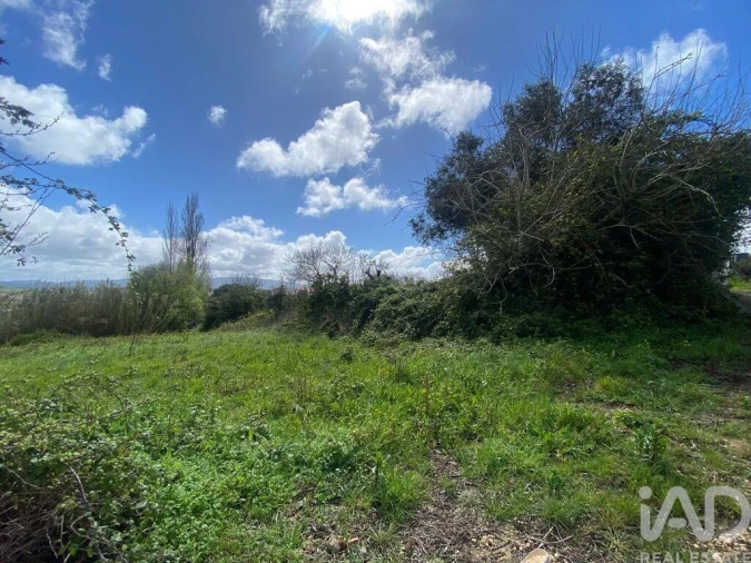 Moradia T3 para Venda em Carvalhal Foto 10