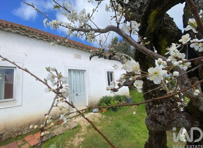 Moradia T3 para Venda em Carvalhal Foto 5
