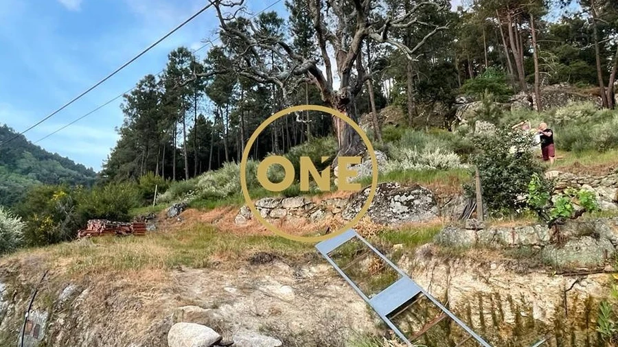 Terreno para Venda em Longa