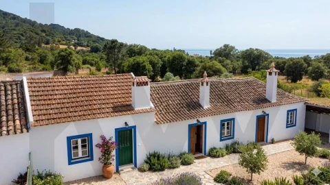 Quinta T5 para Venda em Quinta do Anjo