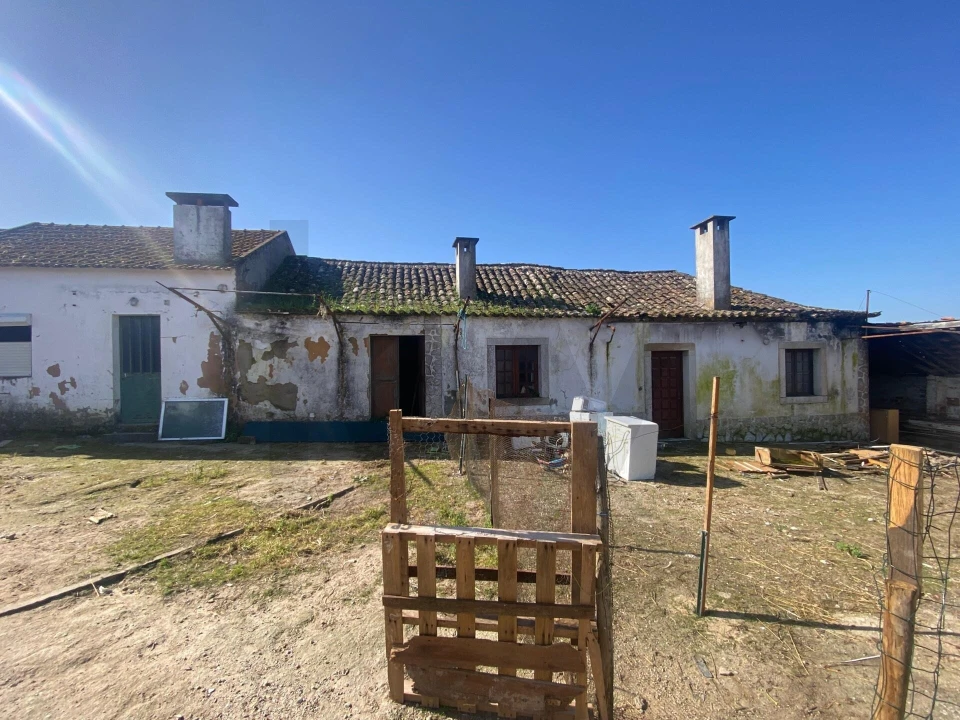Quinta T5 para Venda em Quinta do Anjo Foto 3