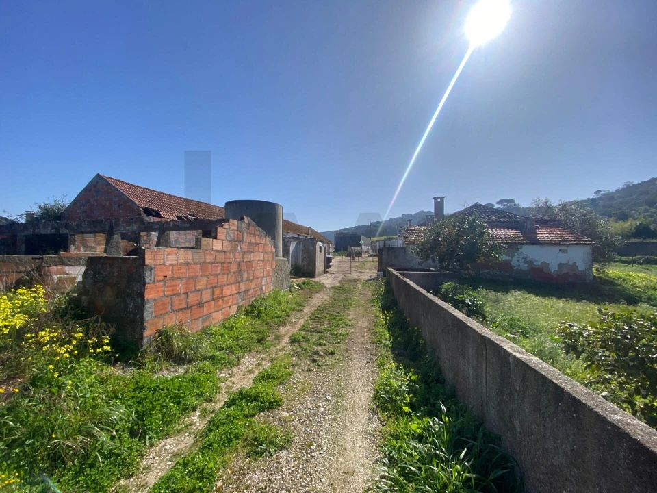 Quinta T5 para Venda em Quinta do Anjo Foto 26