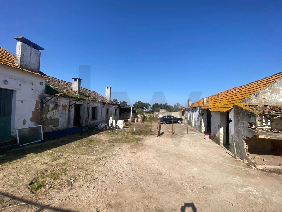 Quinta T5 para Venda em Quinta do Anjo Foto 23