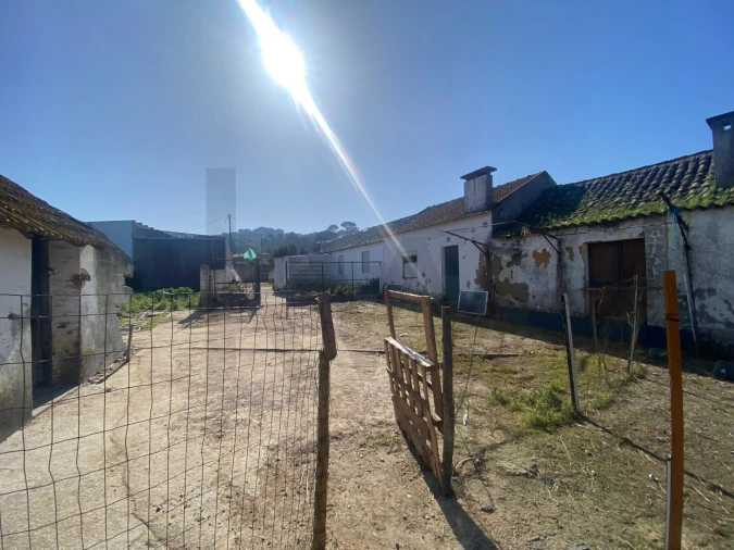 Quinta T5 para Venda em Quinta do Anjo Foto 4