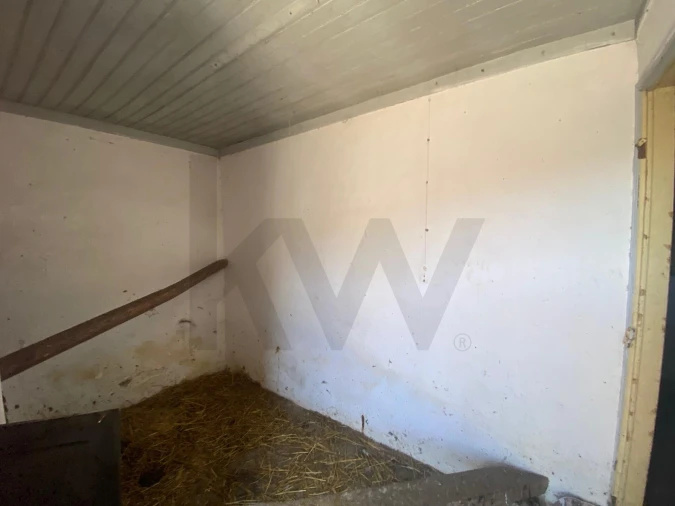 Quinta T5 para Venda em Quinta do Anjo Foto 16
