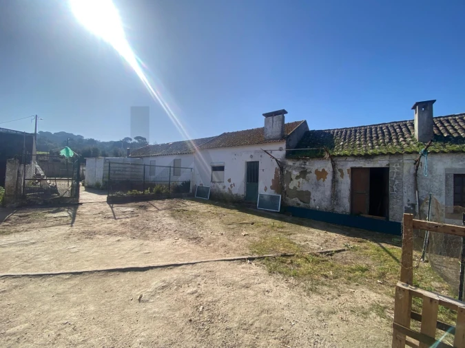 Quinta T5 para Venda em Quinta do Anjo Foto 8
