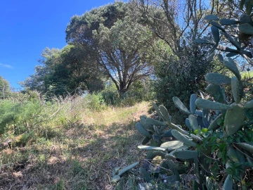 Terreno para Venda em Alcabideche