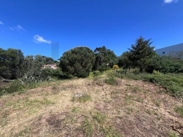 Terreno para Venda em Alcabideche
