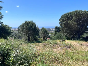 Terreno para Venda em Alcabideche