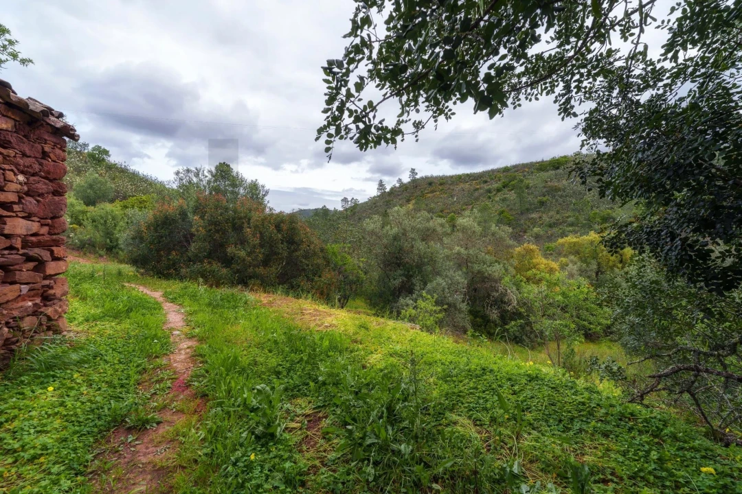 Moradia para Venda em Querença, Tôr e Benafim Foto 12