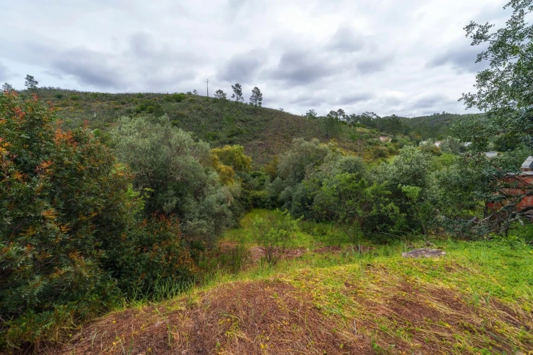 Moradia para Venda em Querença, Tôr e Benafim Foto 14