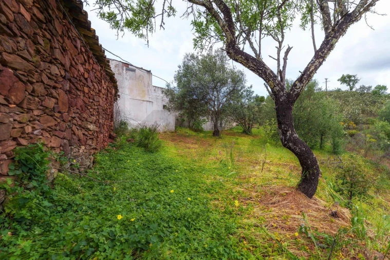 Moradia para Venda em Querença, Tôr e Benafim Foto 18