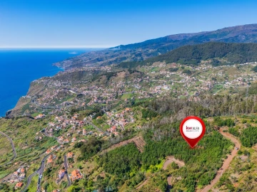 Terreno para Venda em Quinta Grande
