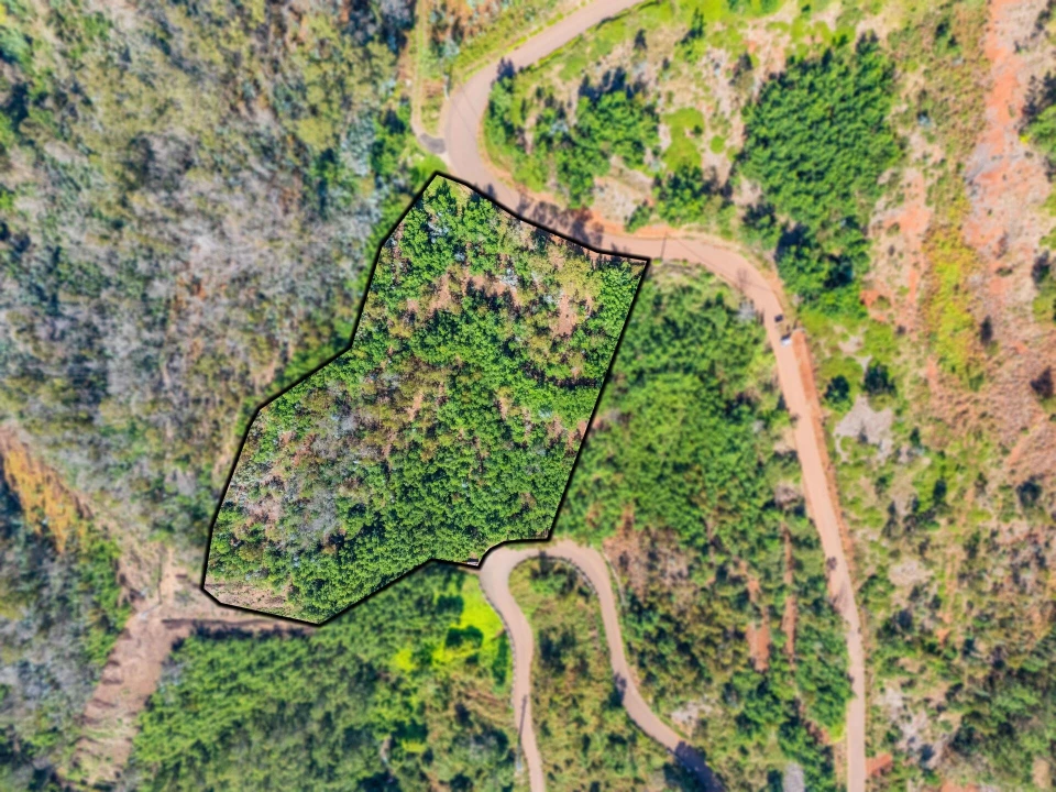 Terreno para Venda em Quinta Grande Foto 4