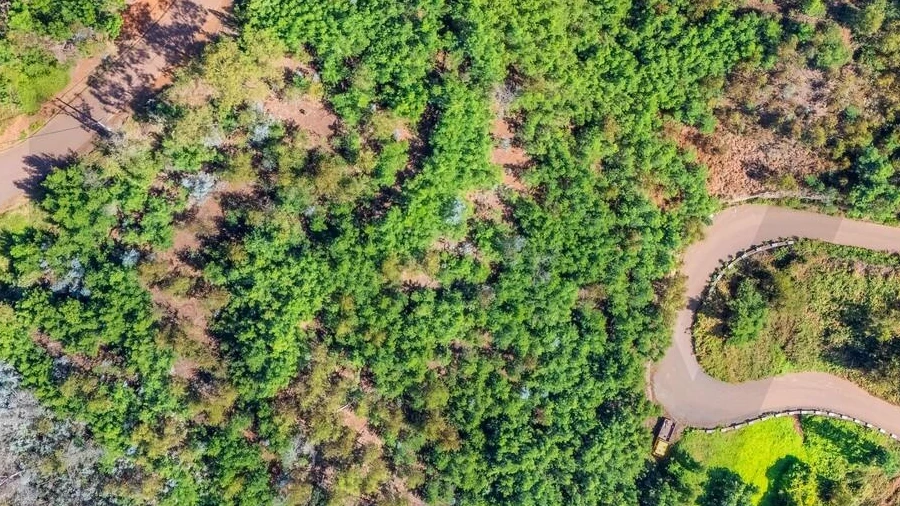 Terreno para Venda em Quinta Grande