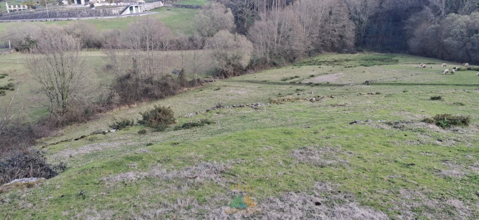 Terreno Agricola ou Rústico para Venda em Miranda Foto 6