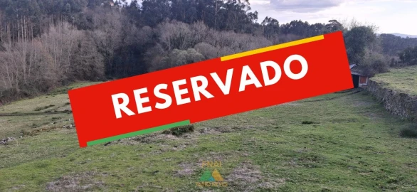 Terreno Agricola ou Rústico para Venda em Miranda