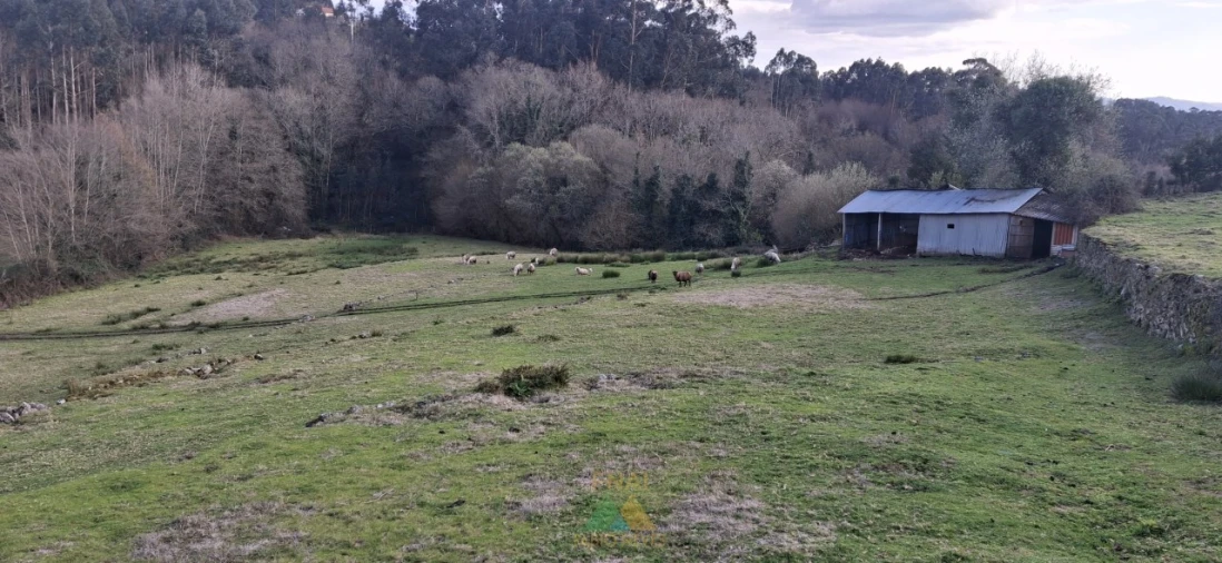 Terreno Agricola ou Rústico para Venda em Miranda Foto 2