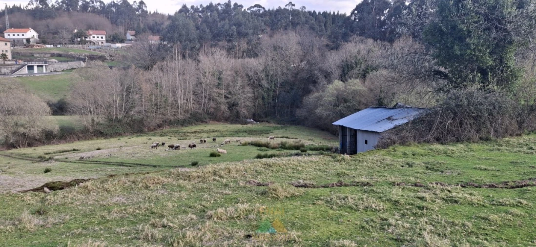 Terreno Agricola ou Rústico para Venda em Miranda Foto 4