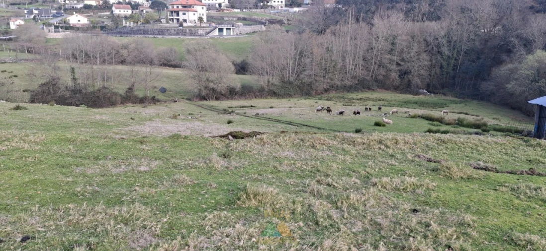 Terreno Agricola ou Rústico para Venda em Miranda Foto 5