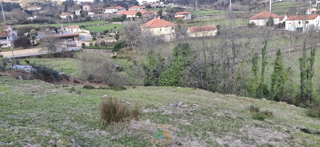 Terreno Agricola ou Rústico para Venda em Miranda Foto 7