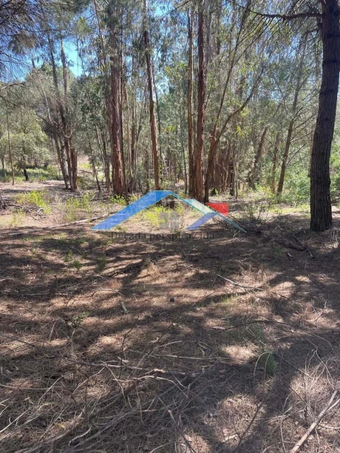 Terreno para Venda em Branca