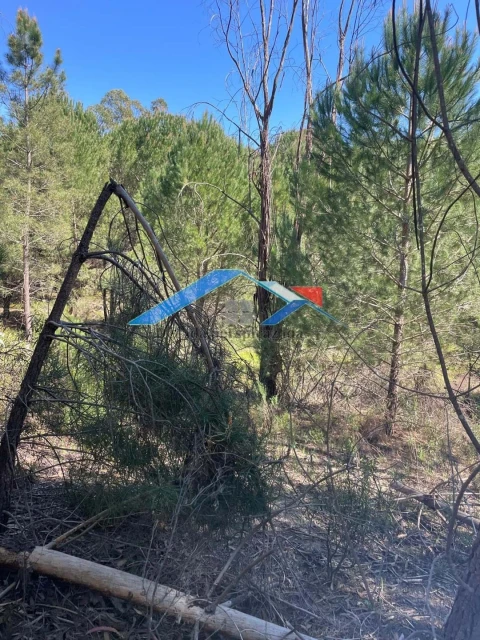 Terreno para Venda em Branca